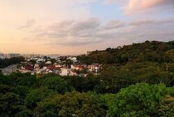 Dunearn Road (D11), Condominium #559103301